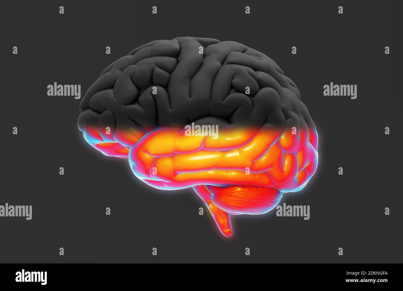 3D human brain rendering half with black and  colorful isolated on dark gray background with clipping path for diecut to use in any backdrop Stock Photo