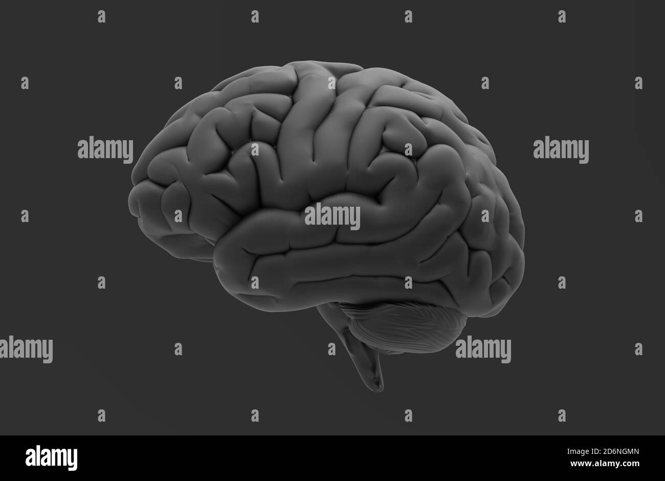 Black 3D human brain rendering isolated on dark gray background with clipping path for diecut to use in any backdrop Stock Photo