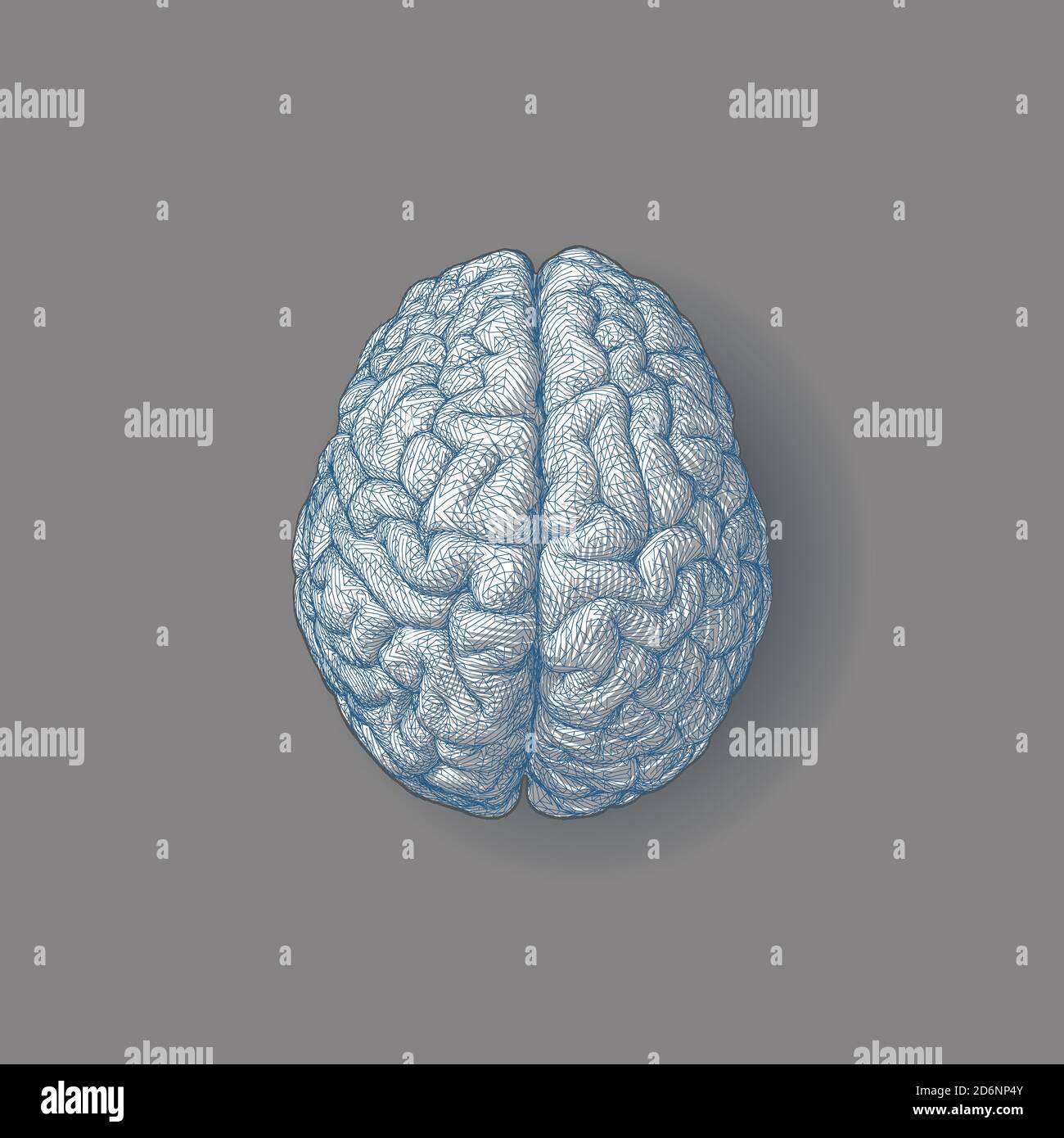 Blue styllized engraving brain illustration in top view with triangular ...