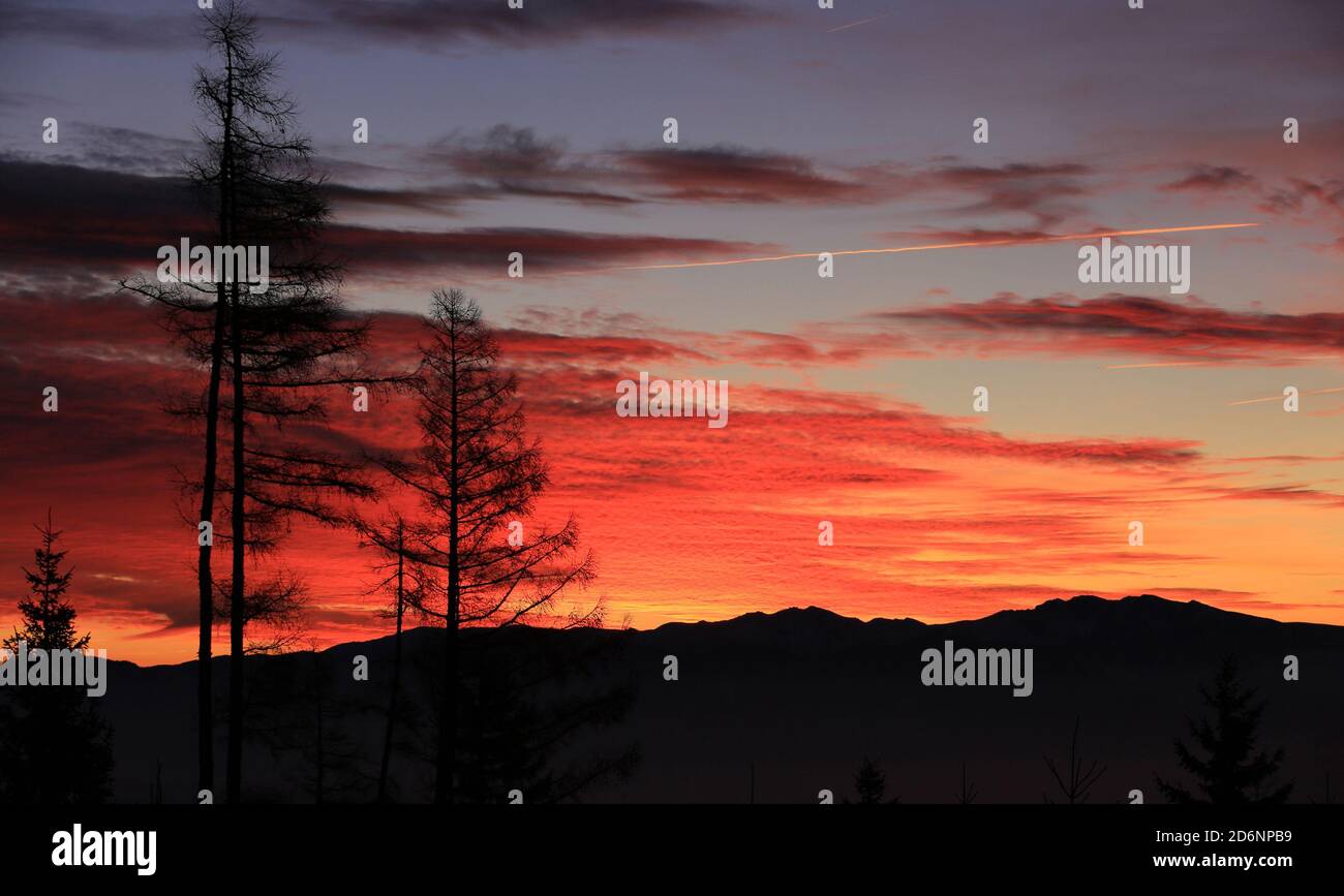 trees on sunset sky background in mountains Stock Photo - Alamy