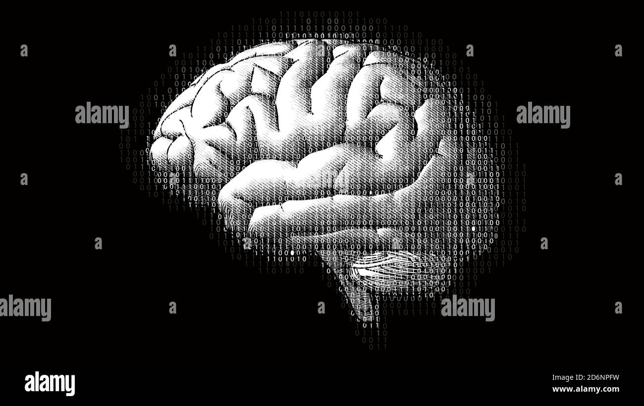 Brain side view with binary digital code AI conceptual in monochrome ...