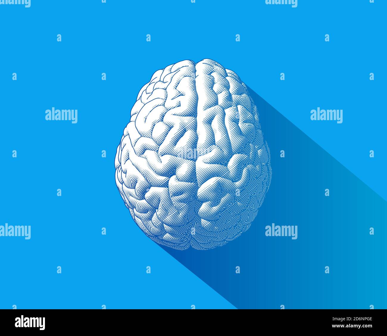 Brain engraving drawing top view isolated on blue background in striped ...