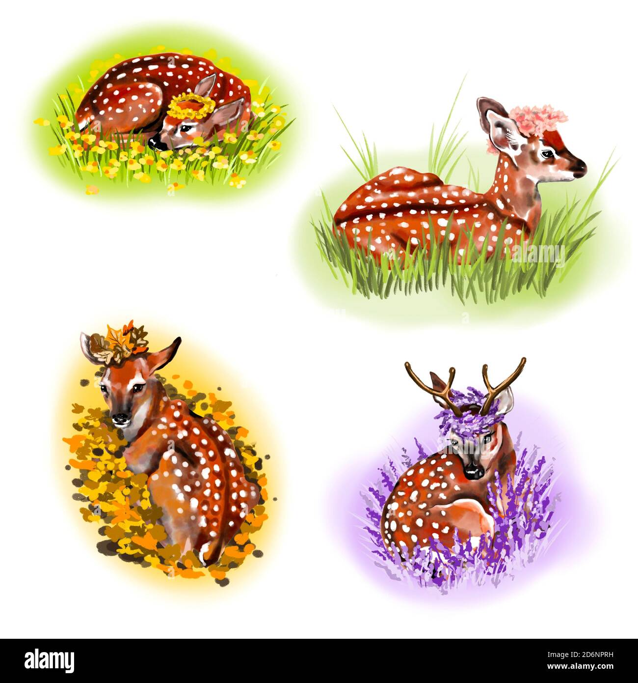 Isolated deer drawings in four seasons. On a white background: four animals in autumn, winter, summer and spring environment. Decorated w/ flowers and Stock Photo