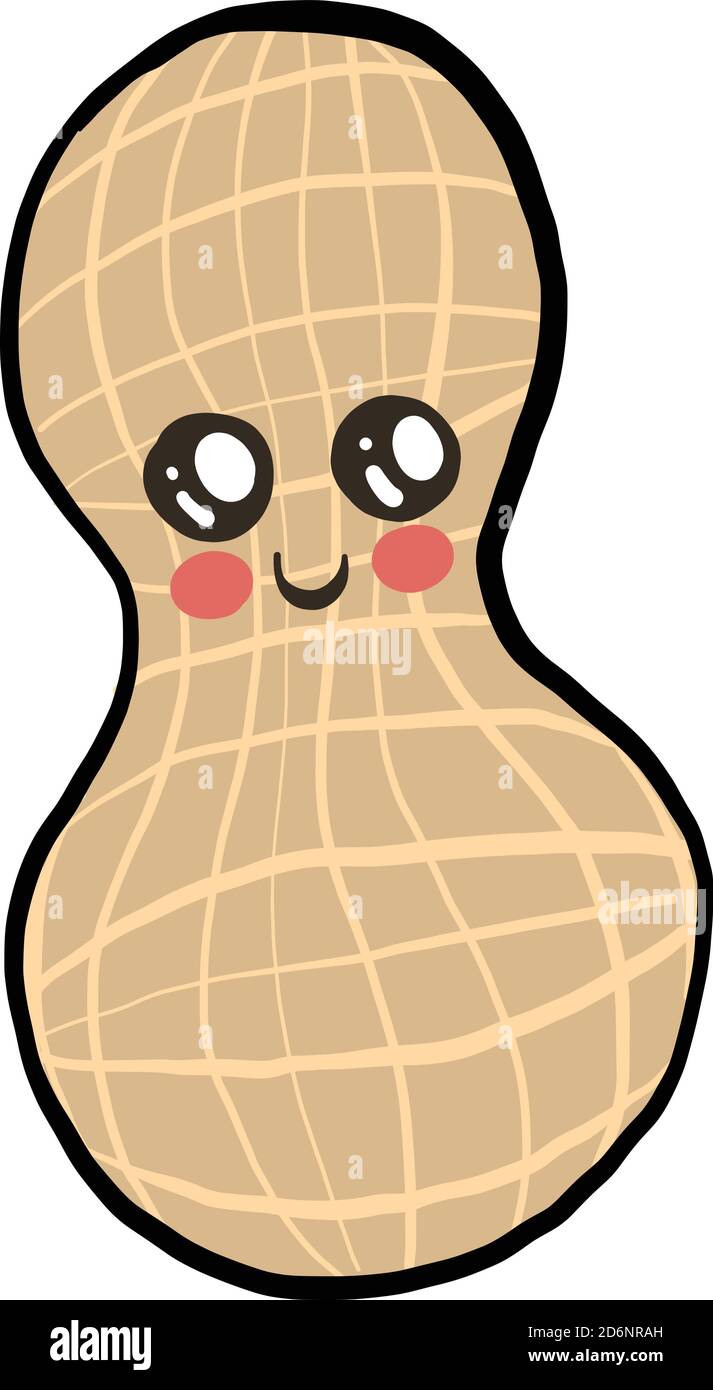 Cute peanut, illustration, vector on white background Stock Vector Image &  Art - Alamy