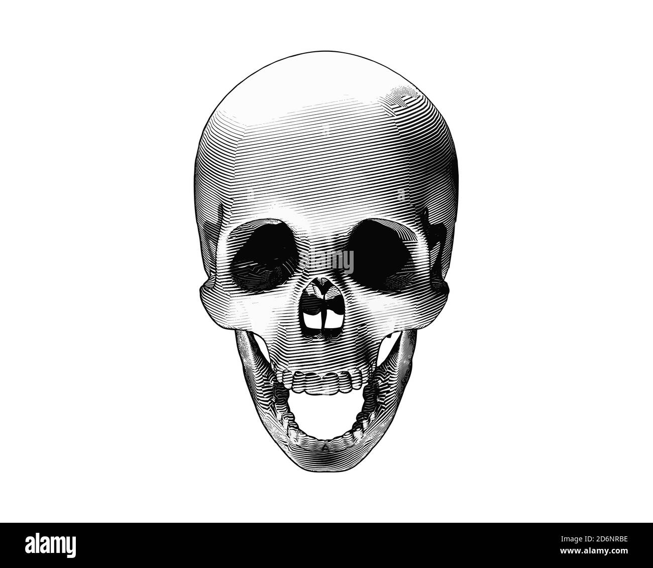 Human Skull Top View Black And White Stock Photos And Images Alamy