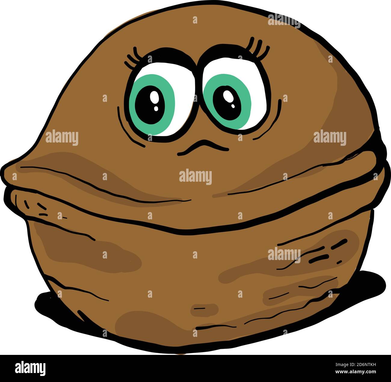 Walnut with green eyes, illustration, vector on white background Stock Vector Image & Art Alamy