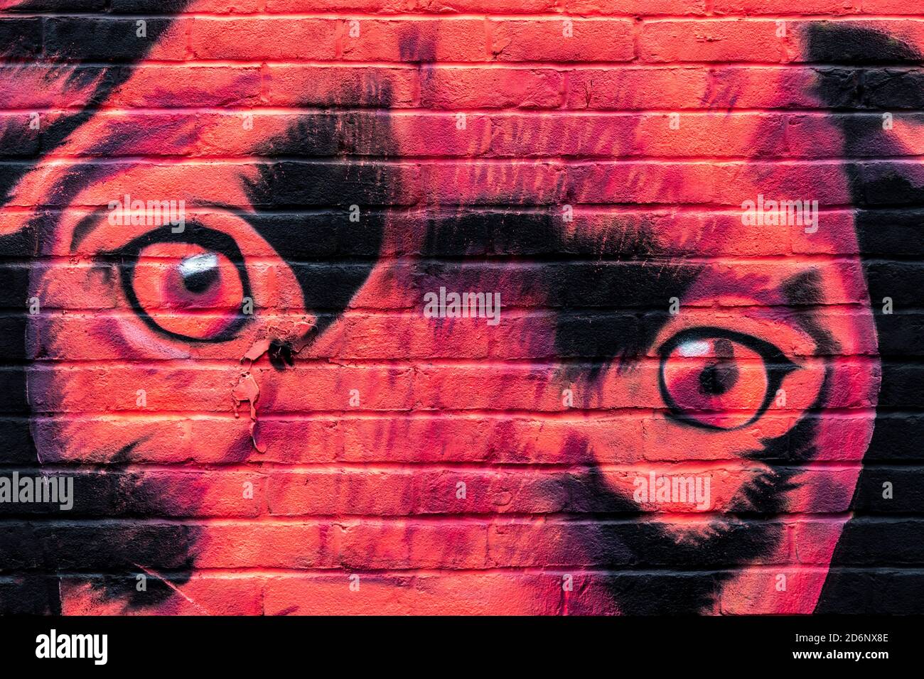 Close-up of red dog mural by street artist DS in Shoreditch, East London, UK Stock Photo