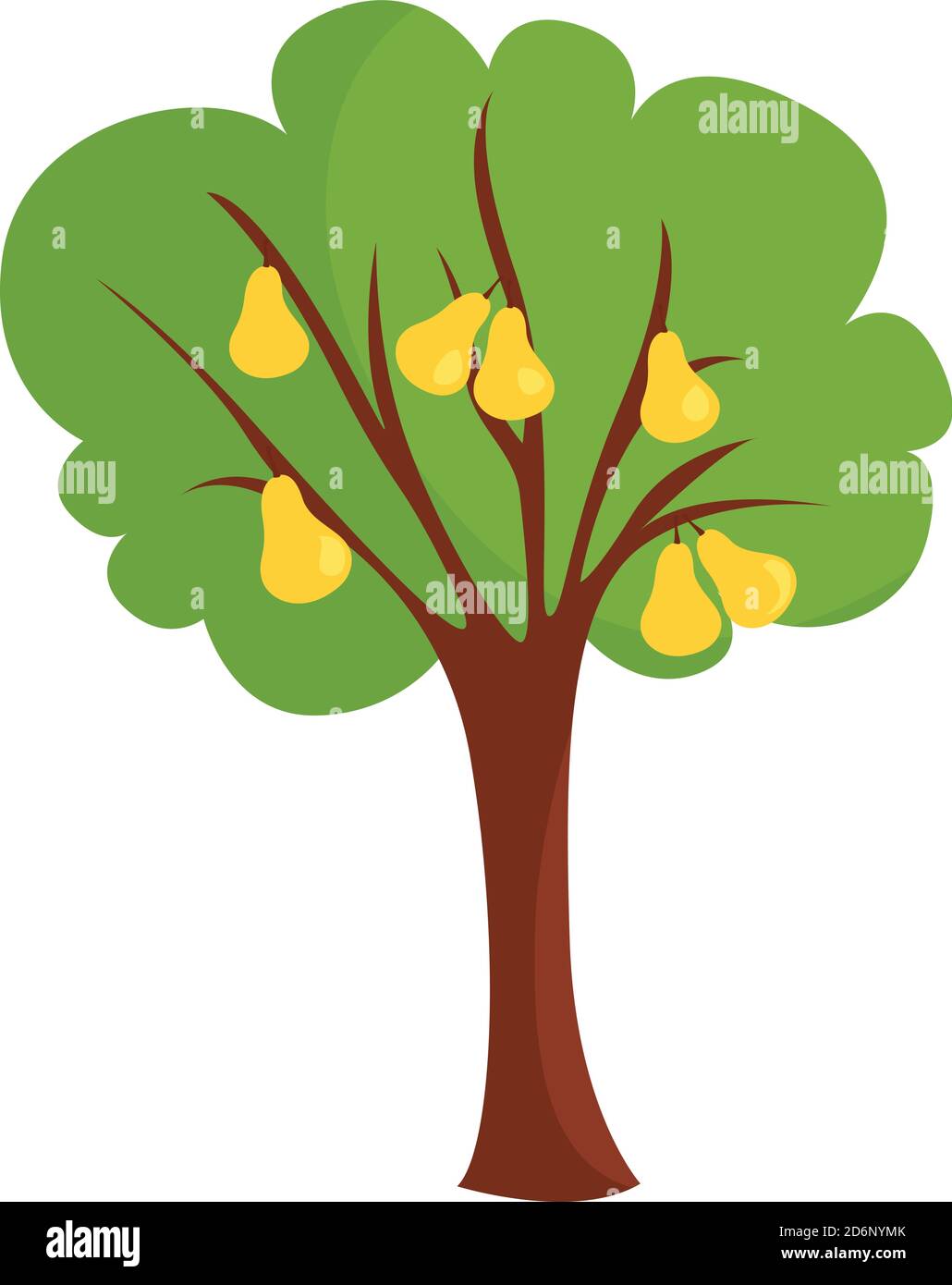 Pear tree, illustration, vector on white background Stock Vector Image
