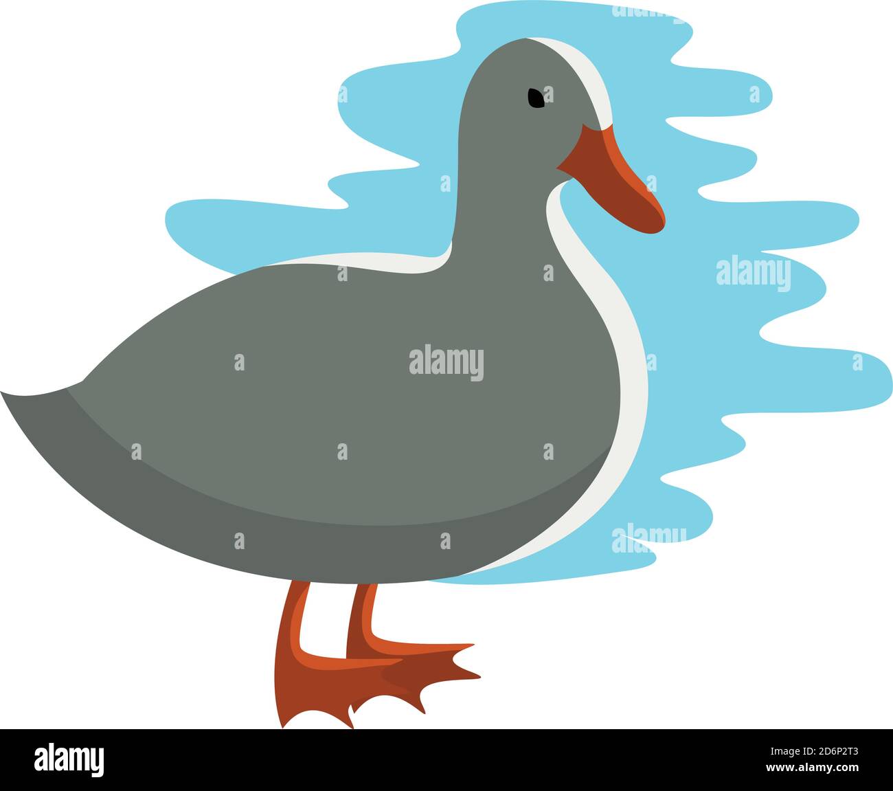 White duck, illustration, vector on white background Stock Vector