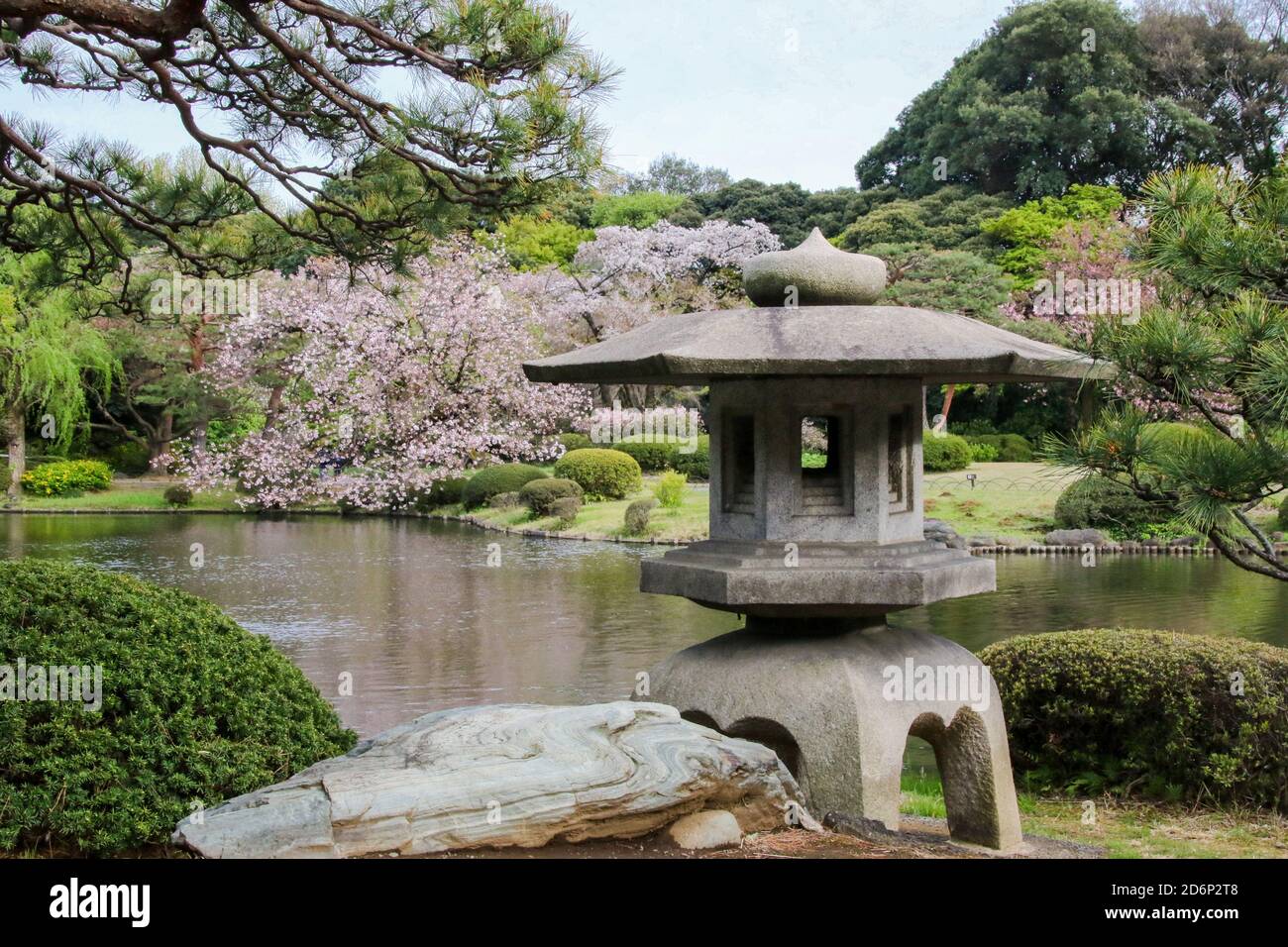 Shinjuku Gyoen National Garden, Tokyo, Japan Stock Photo - Alamy