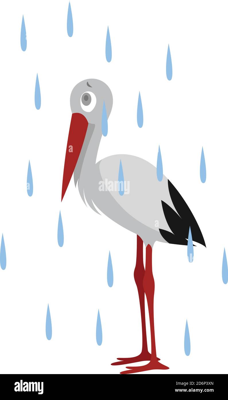 Wet stork, illustration, vector on white background Stock Vector