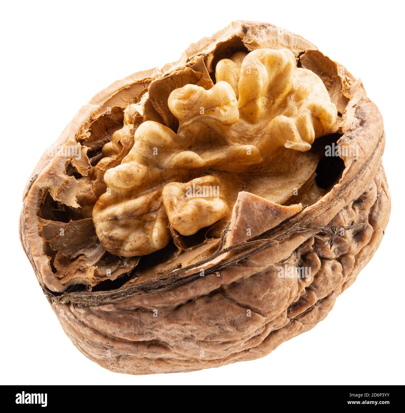 half of walnut isolated on a white background Stock Photo Alamy