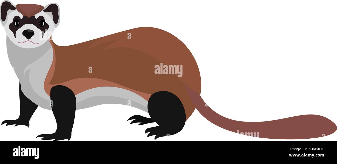 Moody weasel, illustration, vector on white background Stock Vector