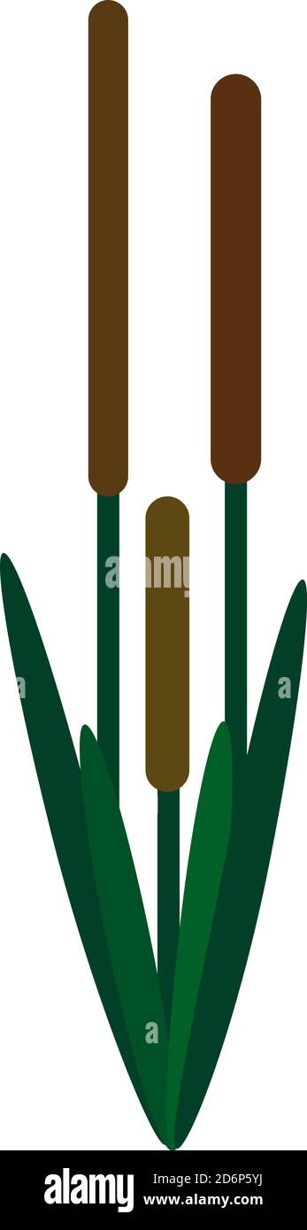 Little bamboo, illustration, vector on white background. Stock Vector