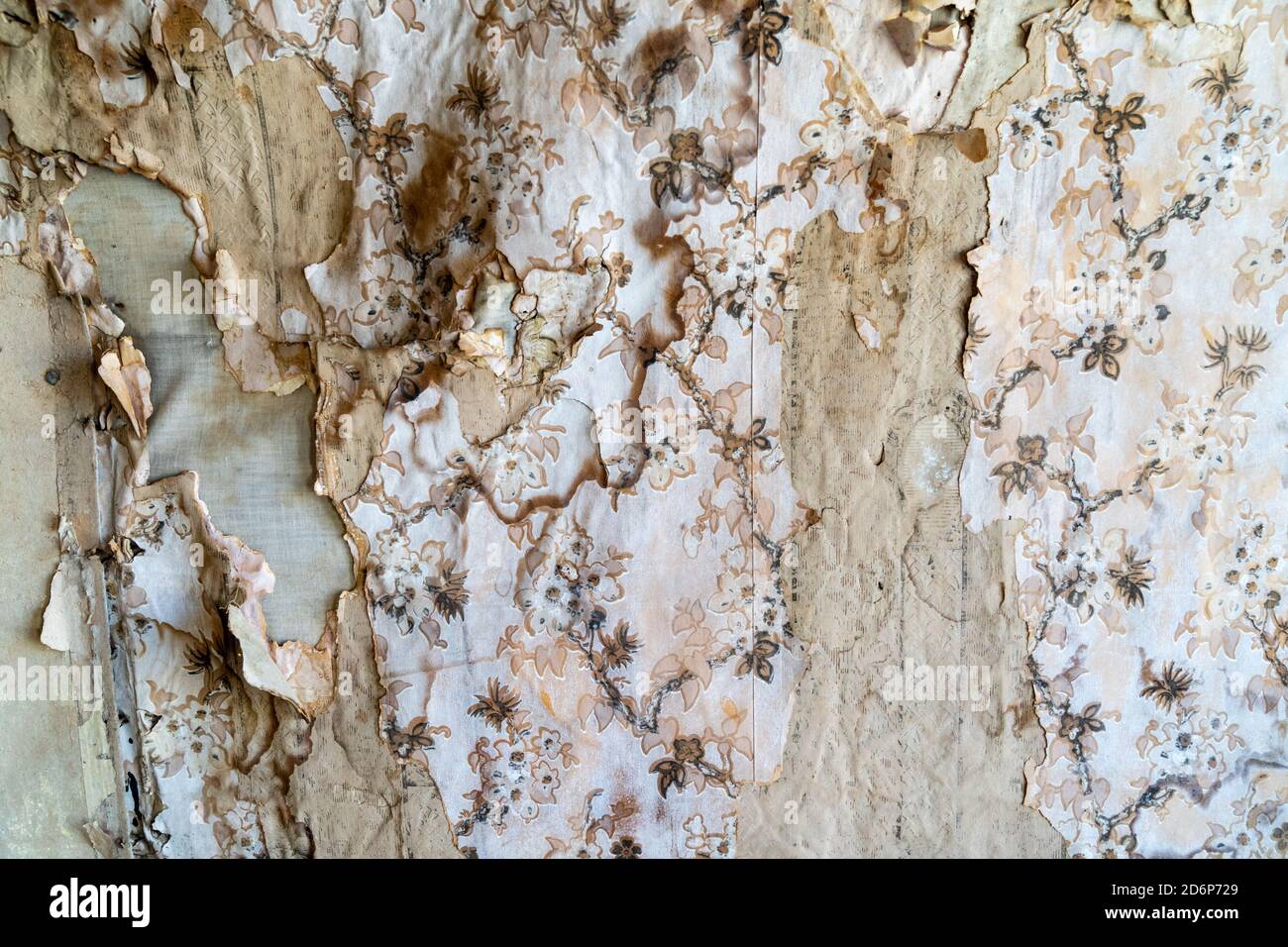 Water damaged wallpaper, peeling and dirty. Textured background Stock Photo - Alamy Water damaged wallpaper, peeling and dirty. Textured background Stock Photo - Alamy