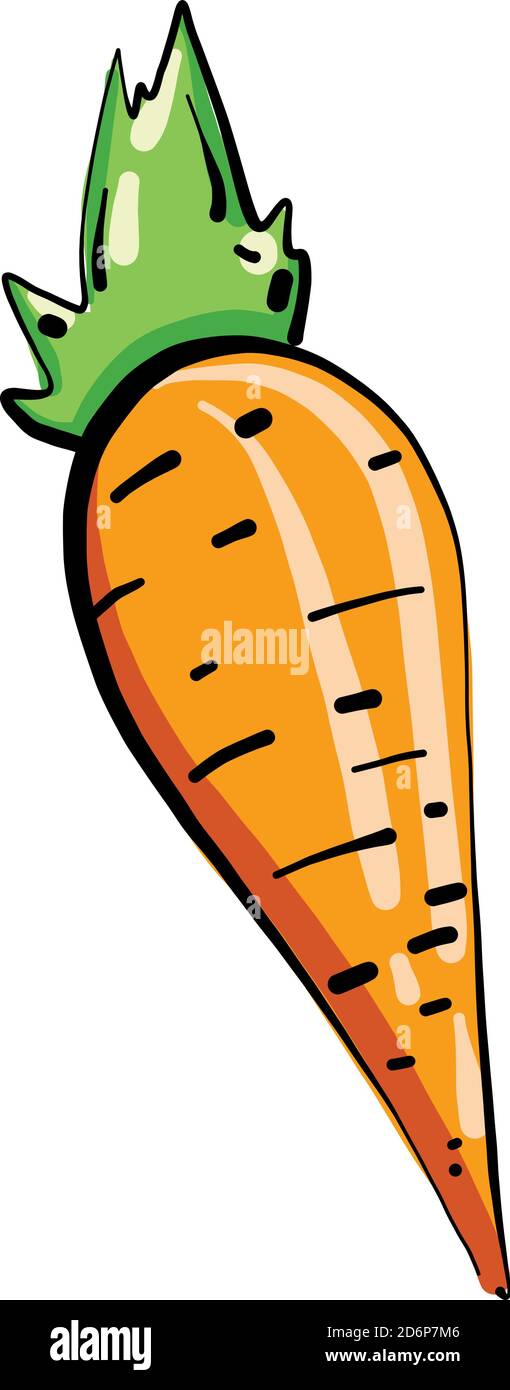 Small carrot, illustration, vector on white background. Stock Vector