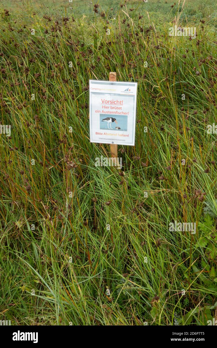 Sign warning to be careful of disturbing nesting birds, Wadden Sea National Park. Lower Saxony. Germany. Stock Photo