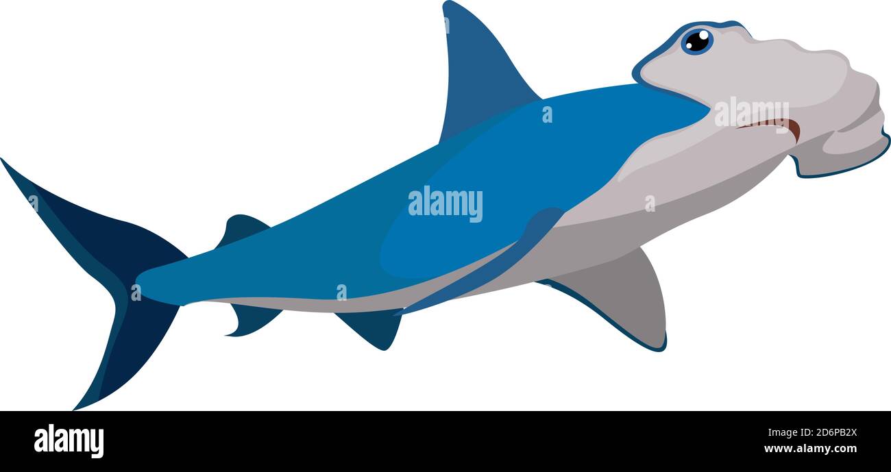 Hammer shark, illustration, vector on white background. Stock Vector