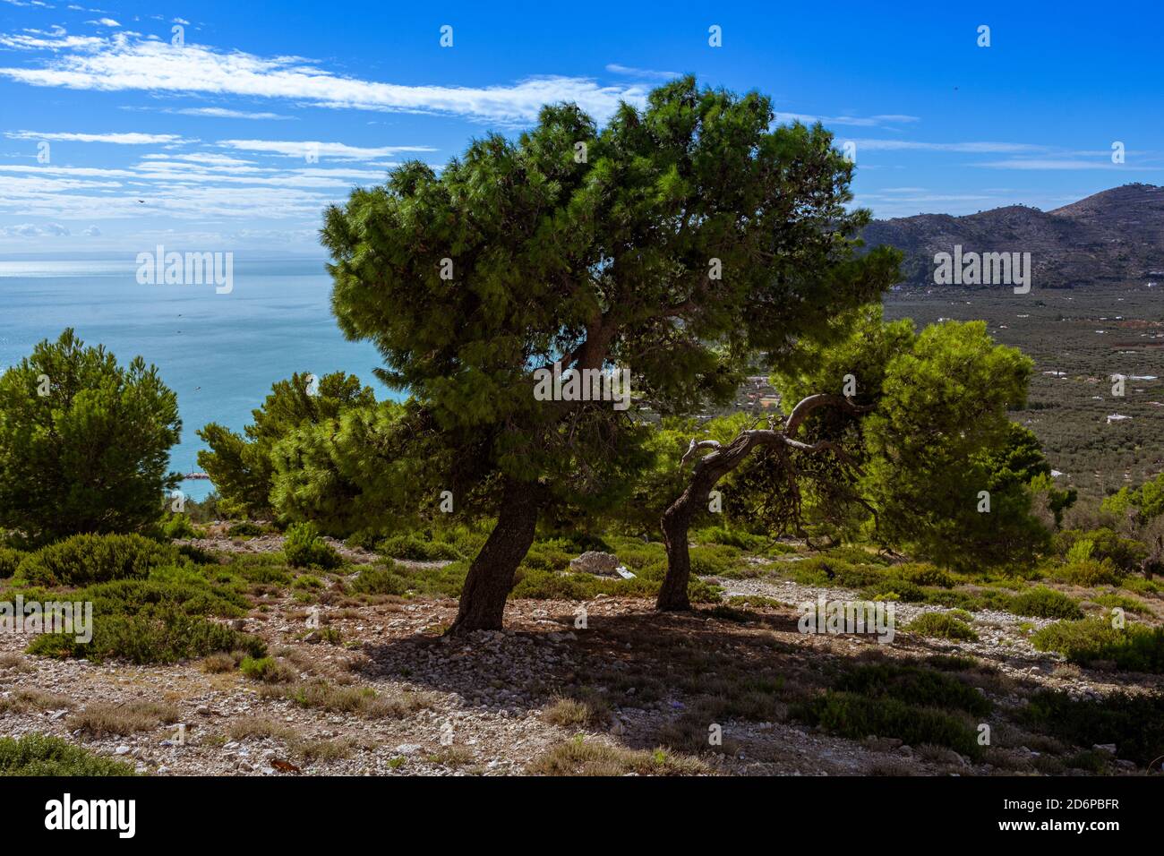 Landscape of hills covered in greenery surrounded by the sea under the ...