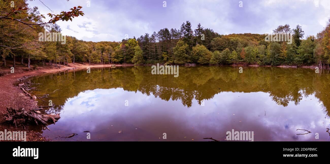 Panoramic shot of a lake surrounded by trees under a cloudy shot ...