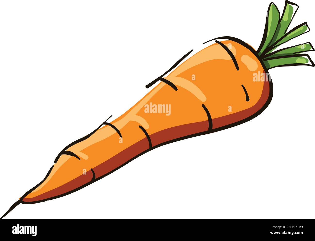 Small carrot, illustration, vector on white background. Stock Vector
