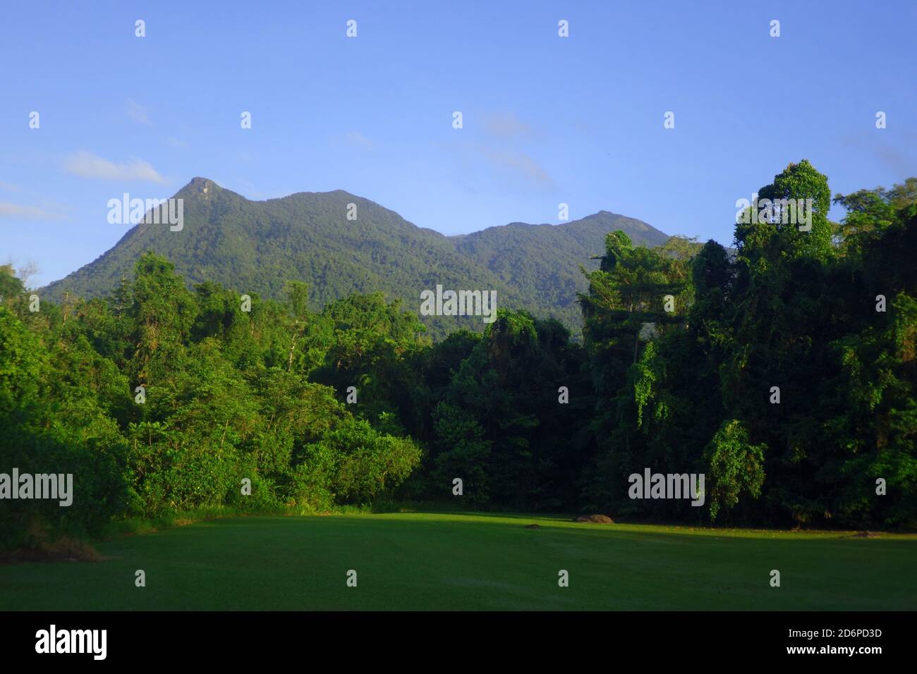 Clear dawn view of Broken Nose on Mt Bartle Frere, from Golden Hole, Wet Tropics, near Cairns, Queensland, Australia Stock Photo