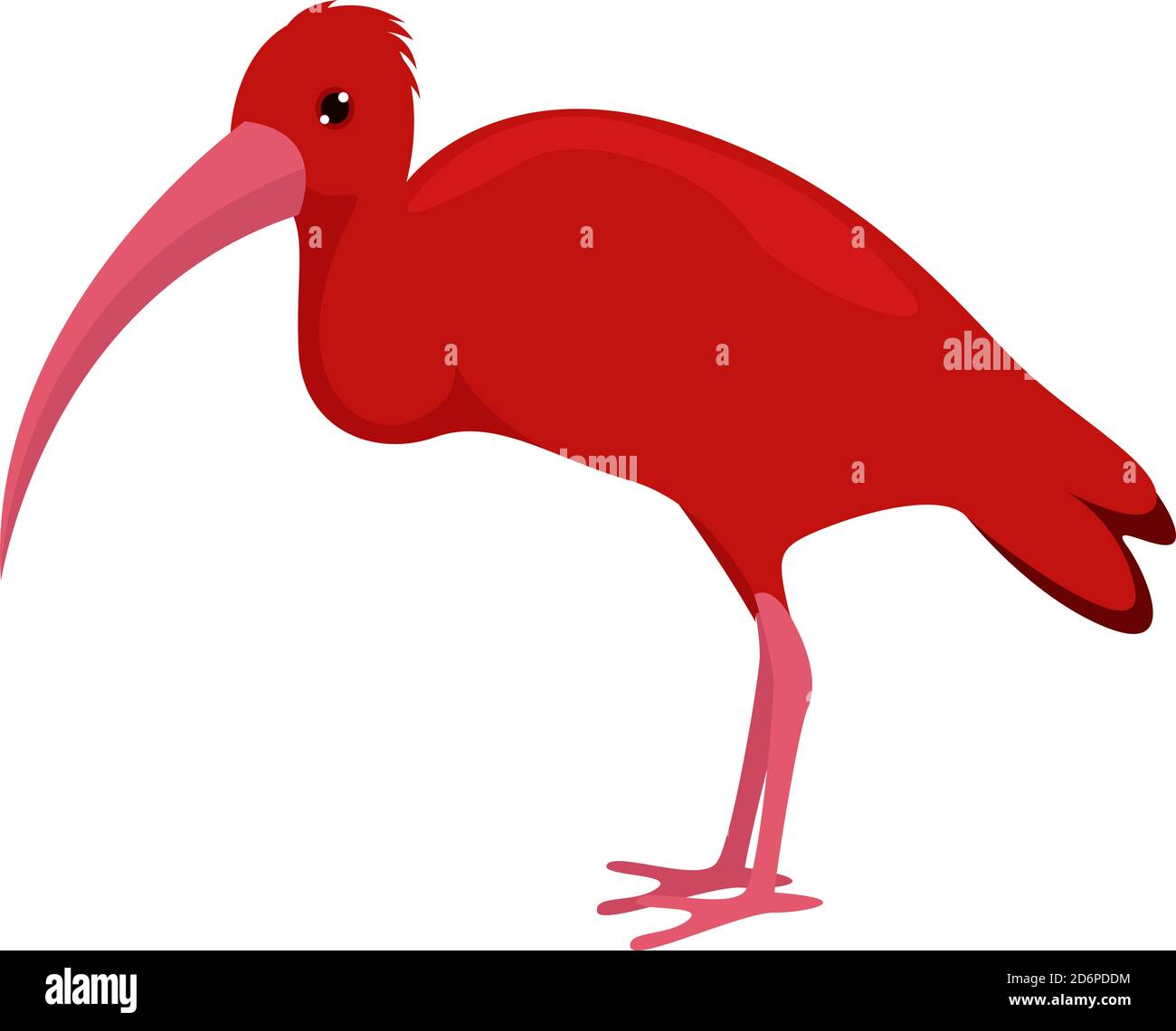 Ibis Stock Vector Images Alamy