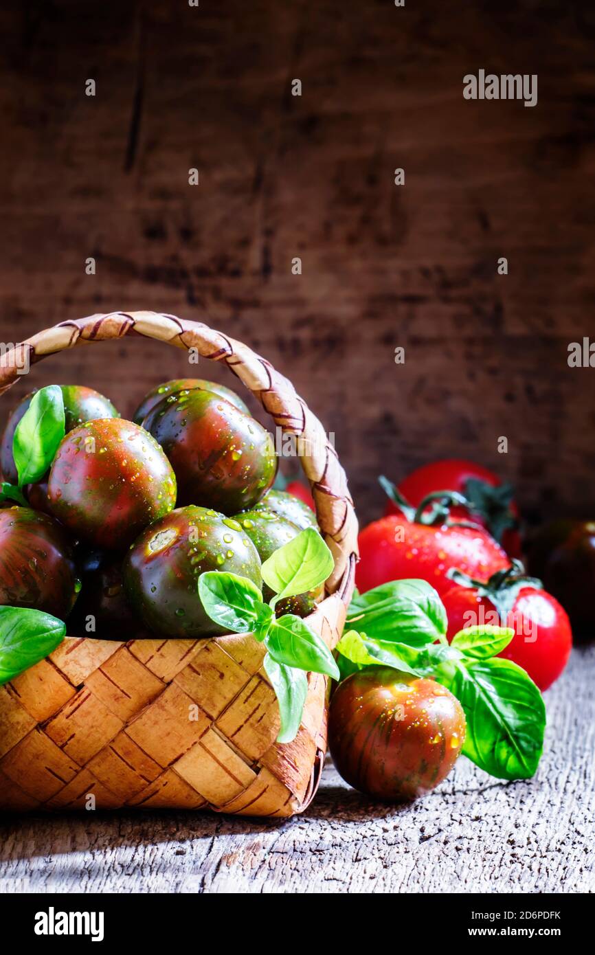 Black and red cherry tomatoes, Italian green basil in a wicker basket ...
