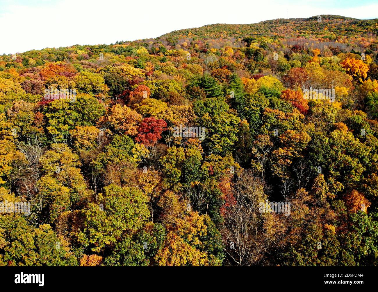 The aerial view of the striking colors of fall foliage near Tunkhannock, Pennsylvania, U.S.A Stock Photo