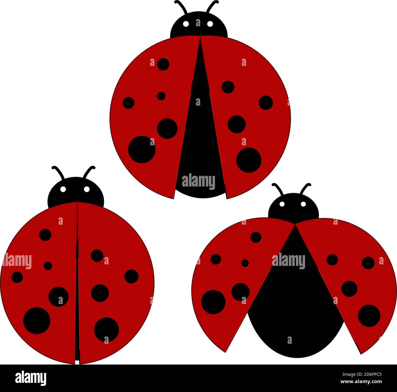 Red ladybugs insect on Stock Vector Images - Alamy
