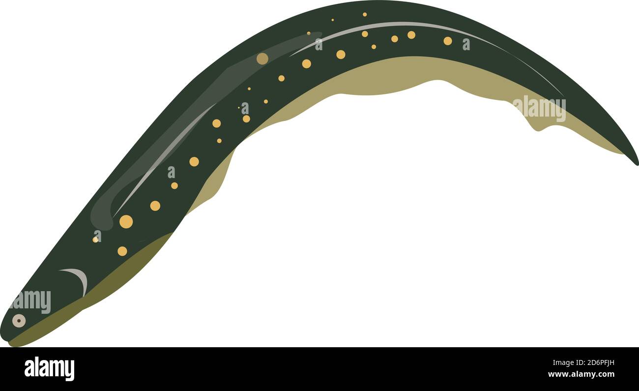 Green eel, illustration, vector on white background Stock Vector