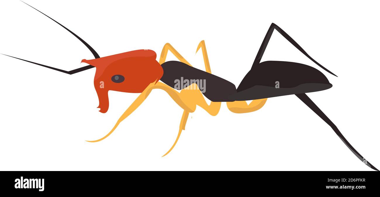 Weird ant, illustration, vector on white background Stock Vector