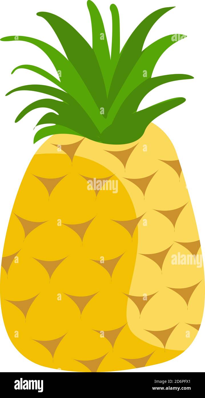 Delicious pineapple, illustration, vector on white background Stock ...