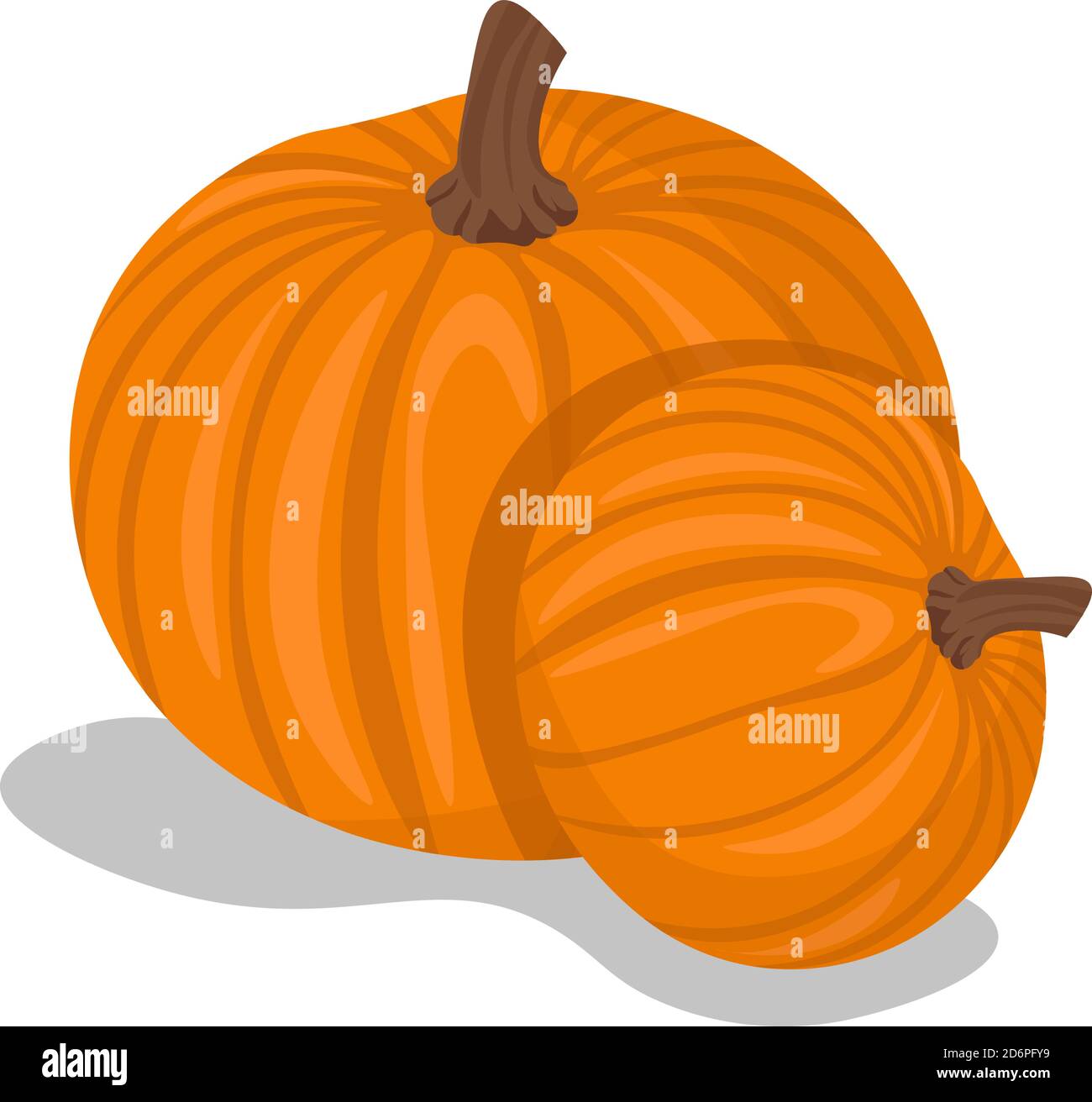 Two pumpkins, illustration, vector on white background Stock Vector