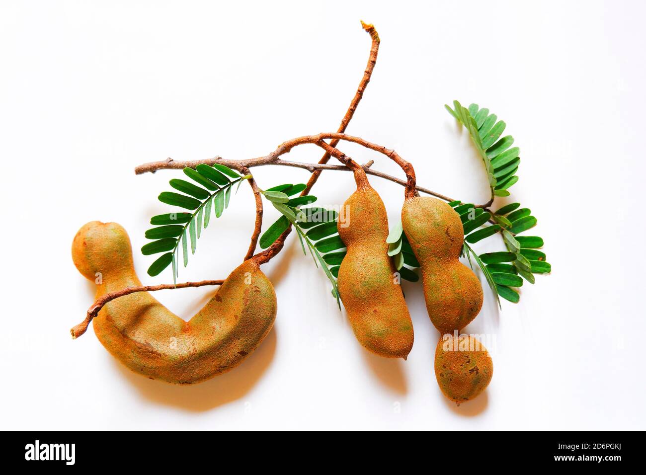 a top close shot of raw tamarind fruits isolated on white plain