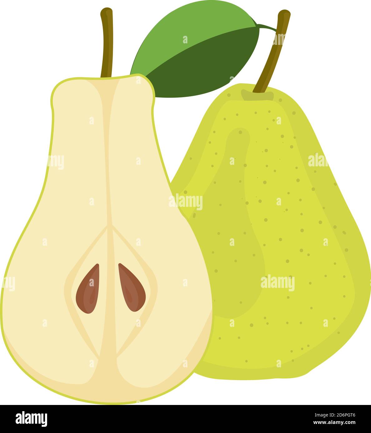 Green pear fruit and half cut pear vector illustration isolated hi-res ...