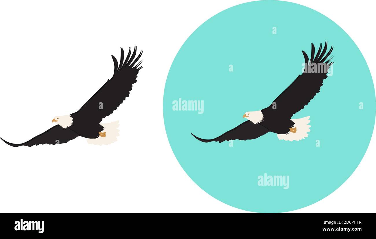 Flying eagle ,illustration, vector on white background. Stock Vector