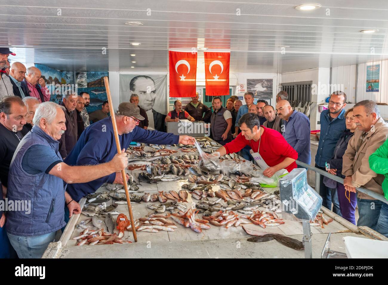 Various fresh fish for sale at seafood auction at Alacati fish market, Turkey. Stock Photo