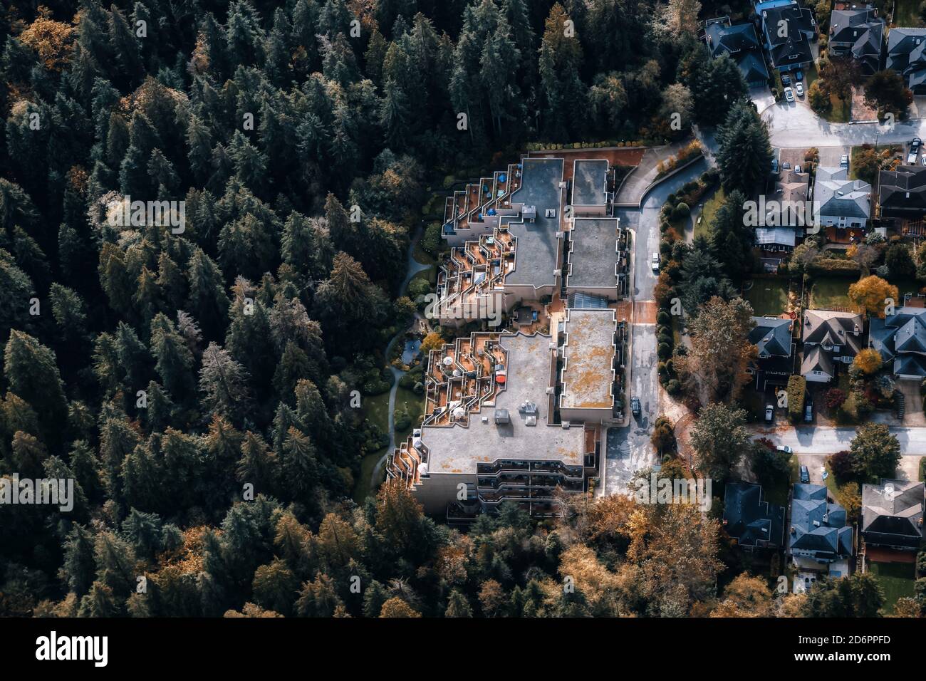 Aerial View of Residential Homes in a green neighborhood Stock Photo ...