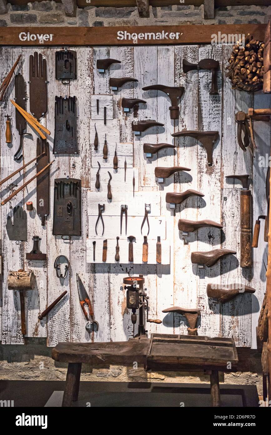 Vintage Glover and Shoemaker tools display at the Somerset Rural Life Museum in Glastonbury, England. Stock Photo