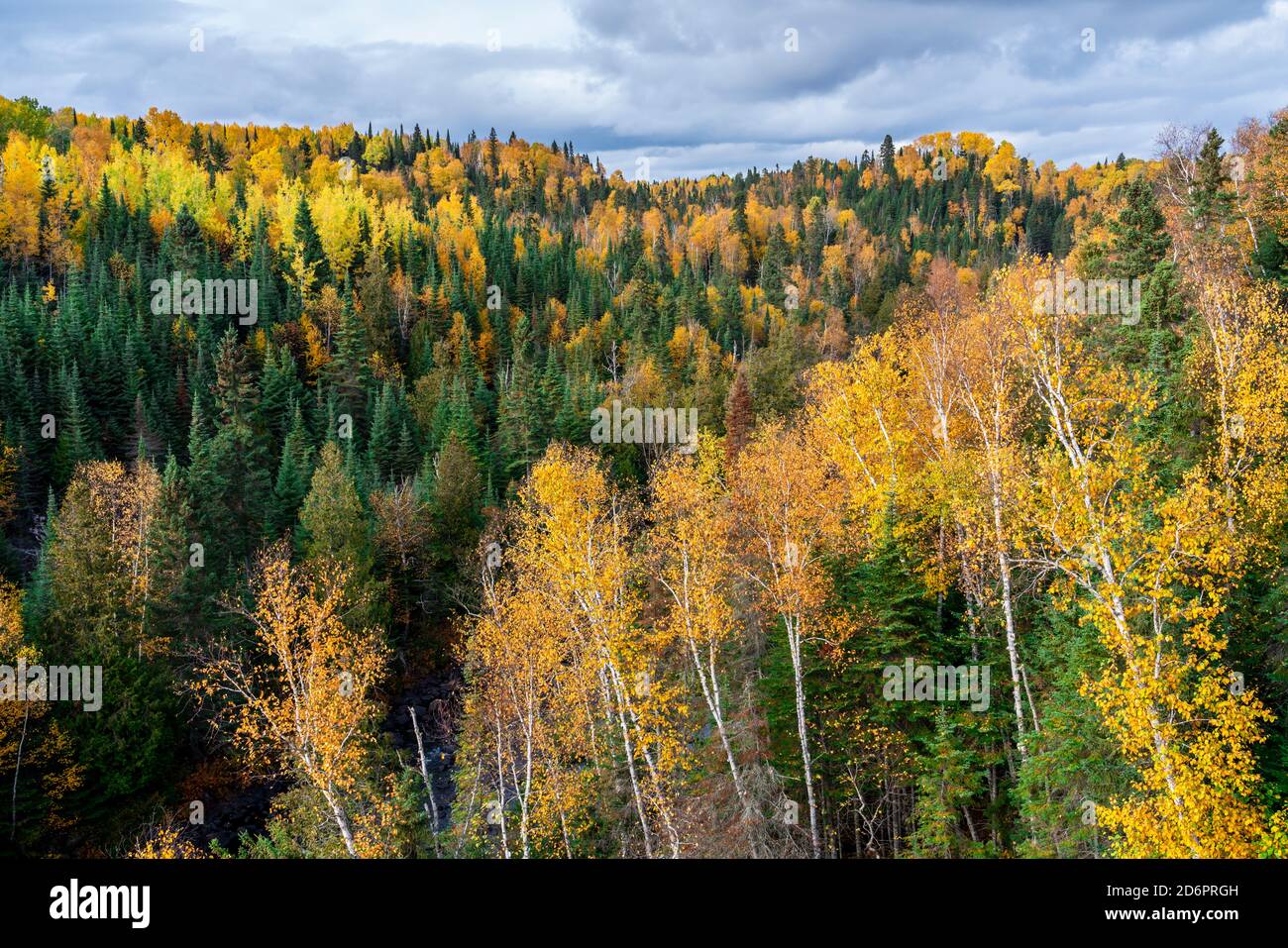 Fall foliage color at the Sleeping Giant Provincial Park, Thunder Bay