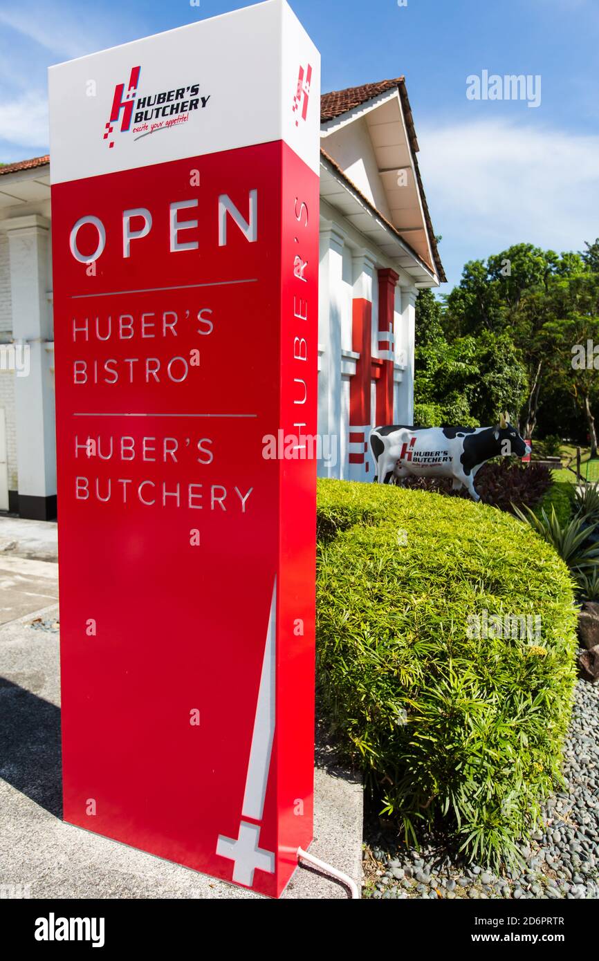 Vertical view. A tall signboard column and a life size decorated cow in ...