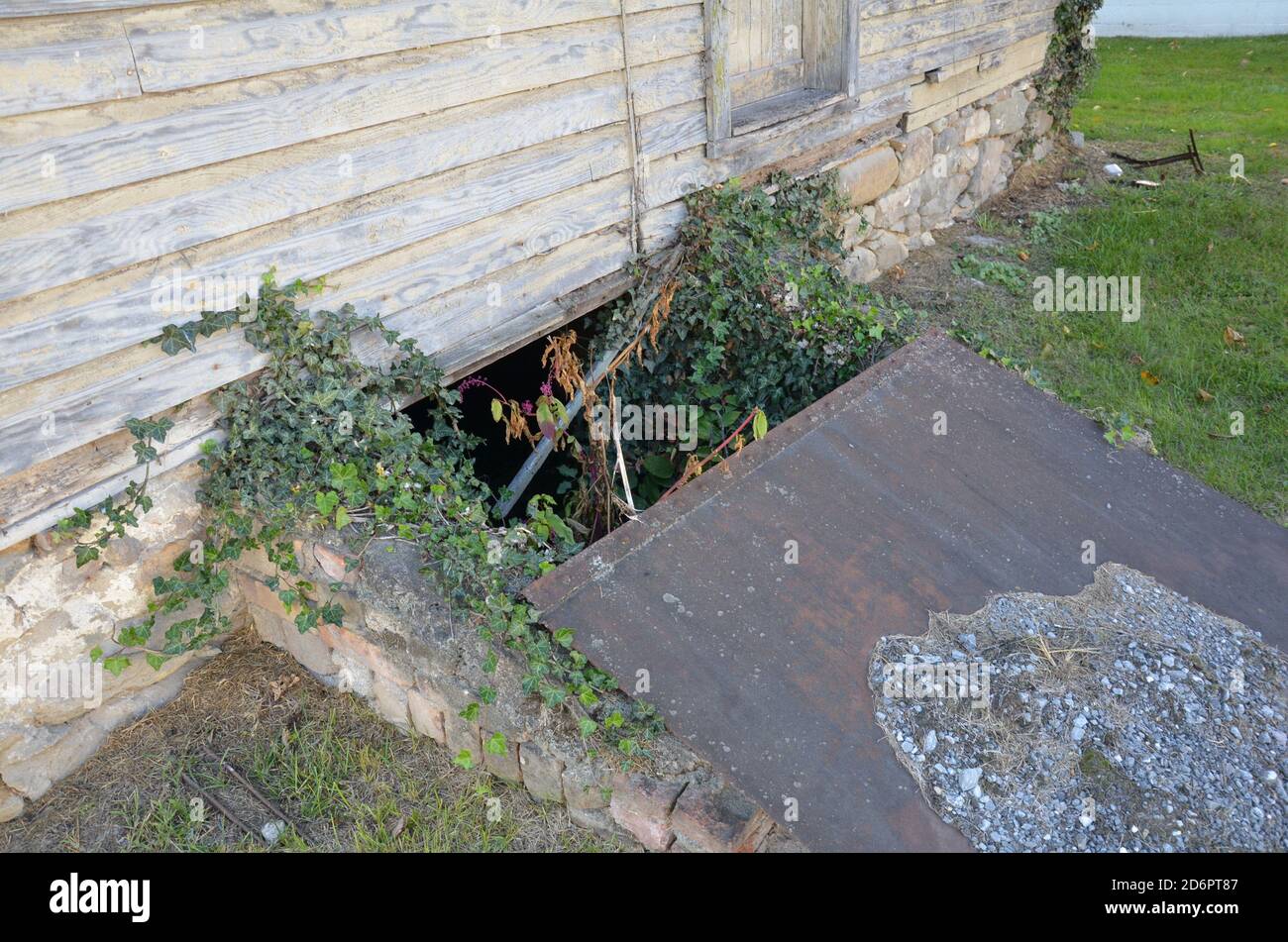 metal covering on dilapidated basement or cellar entrance with plants ...