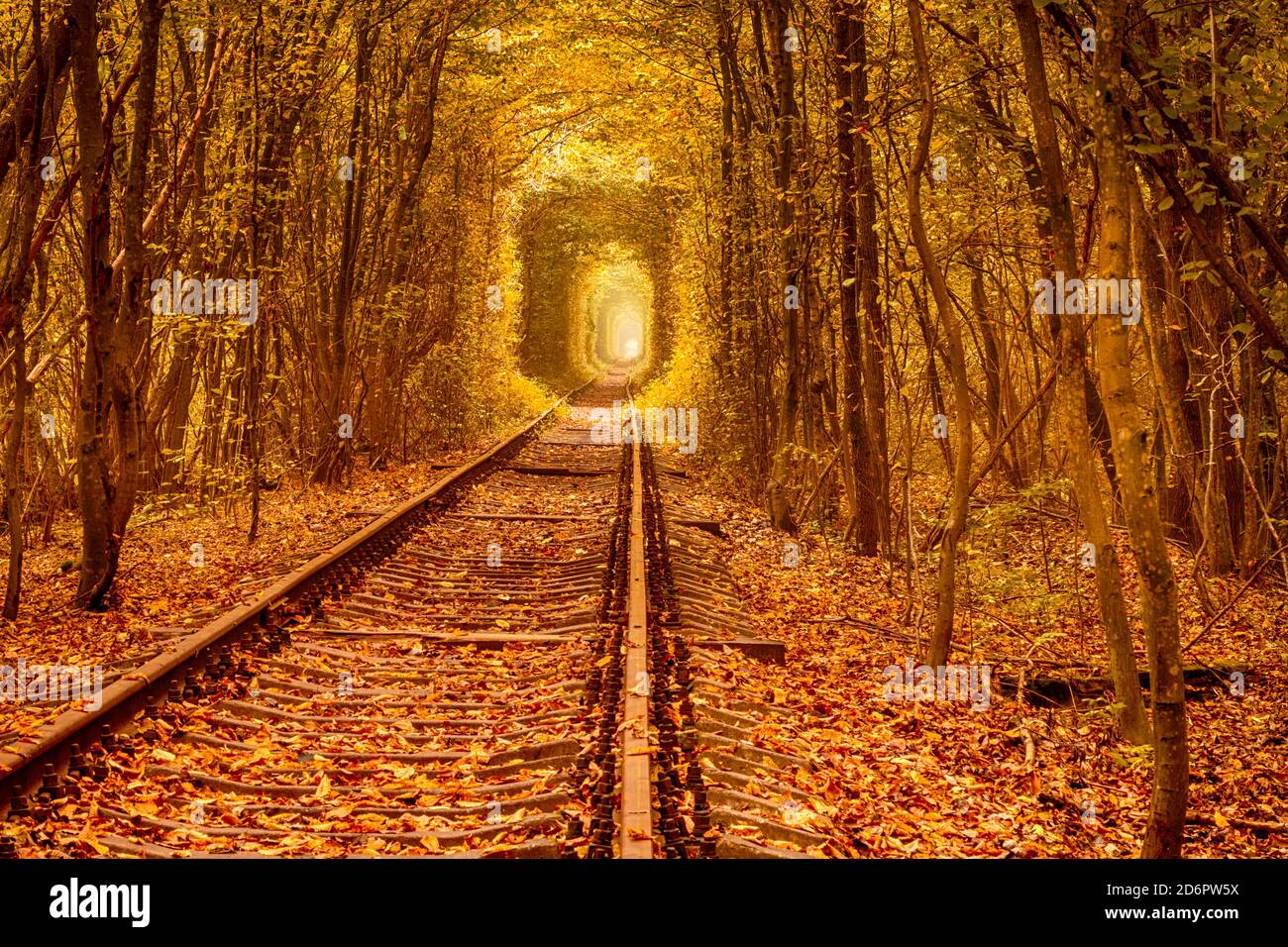 Tunnel of love in Ukraine. Railroad tracks through deciduous forest. Autumn day Stock Photo