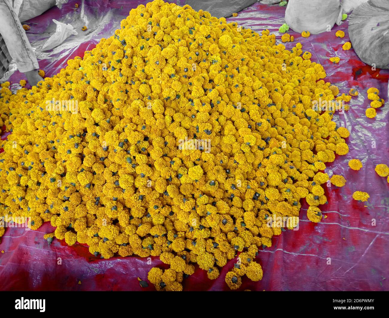 merigold  flower shop mon road side in india Stock Photo