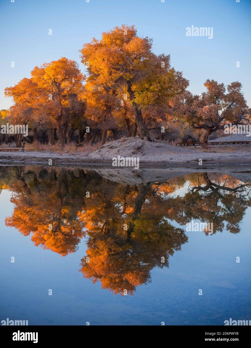 Ejin Banner. 18th Oct, 2020. Photo taken on Oct. 18, 2020 shows the