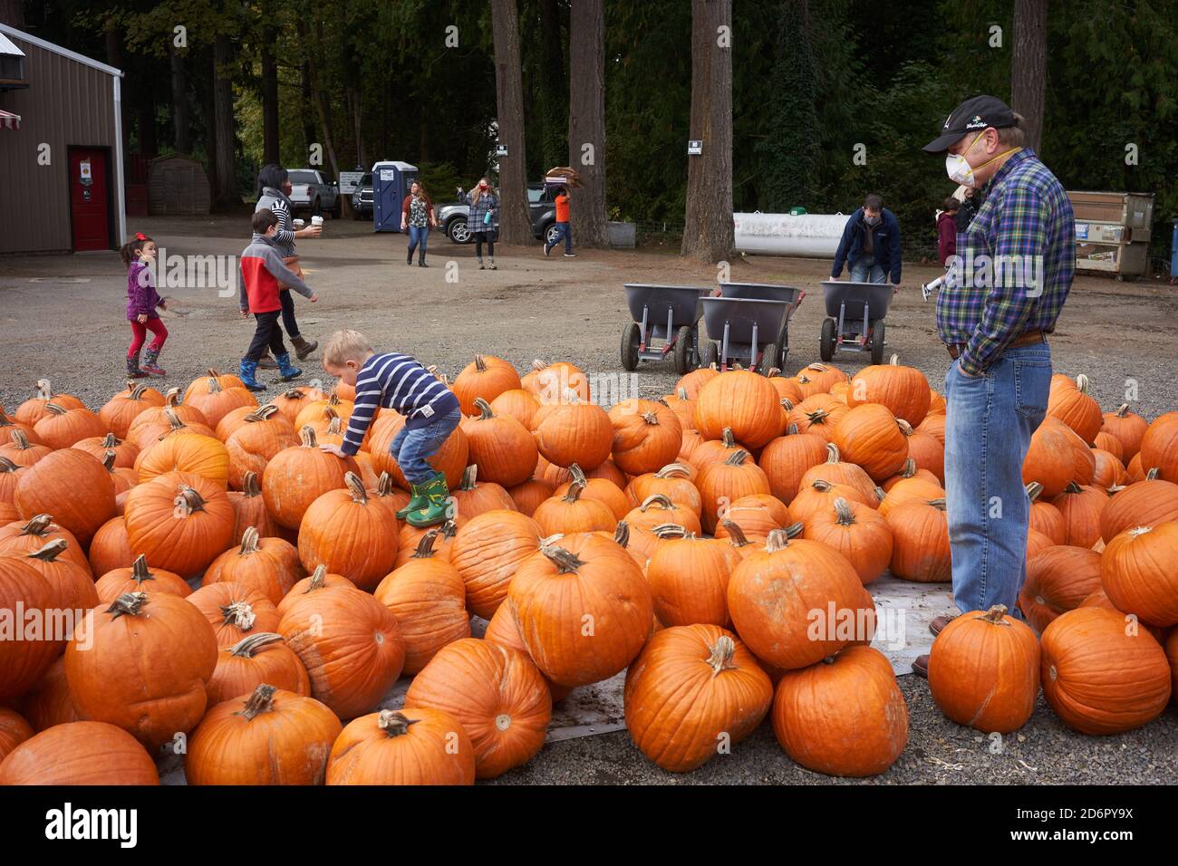 Annual Pumpkin patch at Fir Point Farms in Aurora, Oregon, on Saturday, October 17, 2020, during a pandemic fall season. Stock Photo