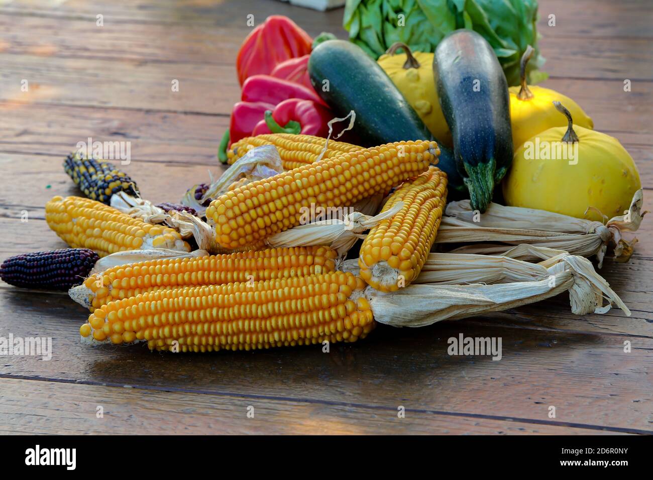 Closeup shot of ripe vegetables on the table Stock Photo