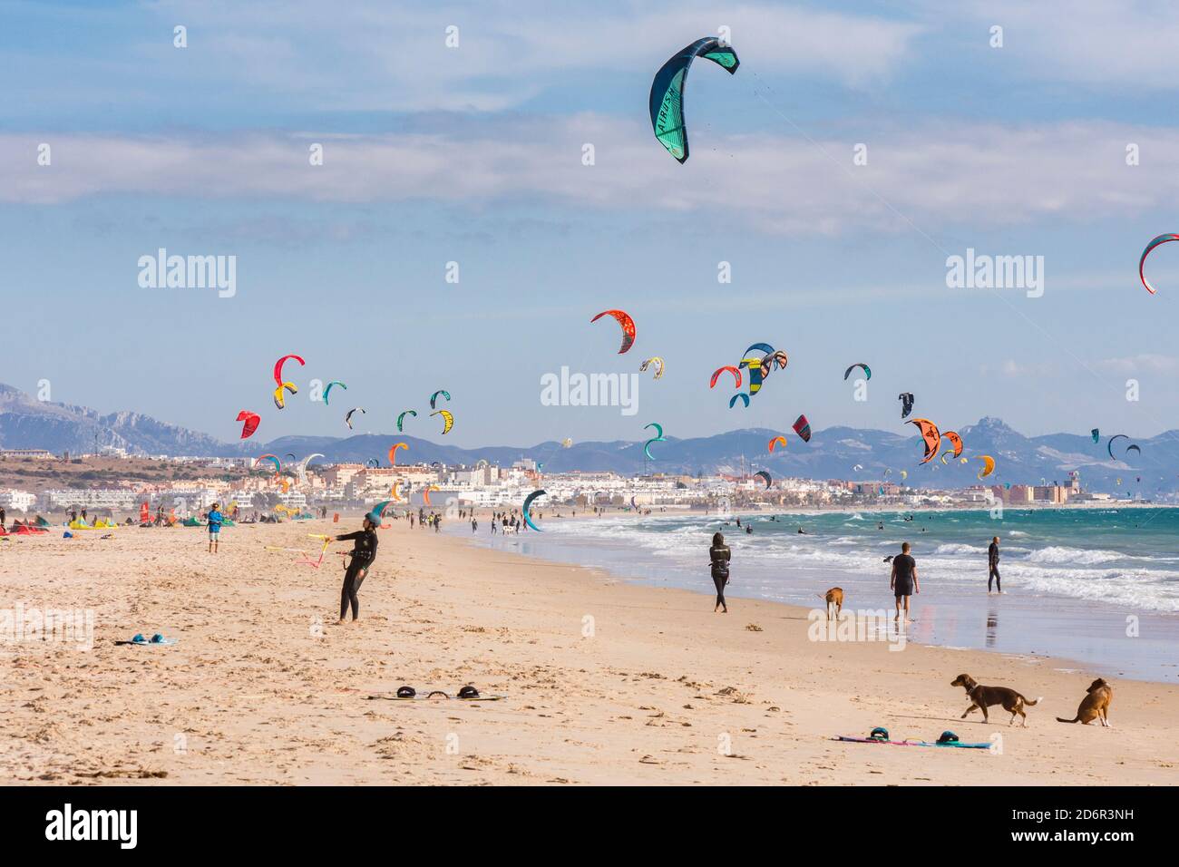 Tarifa surfing, Kitesurfing, Kiteboarding, Kiteboarders, Kitesurfers busy day at beach Los lances, Tarifa, Cadiz, Andalusia, Spain Stock Photo