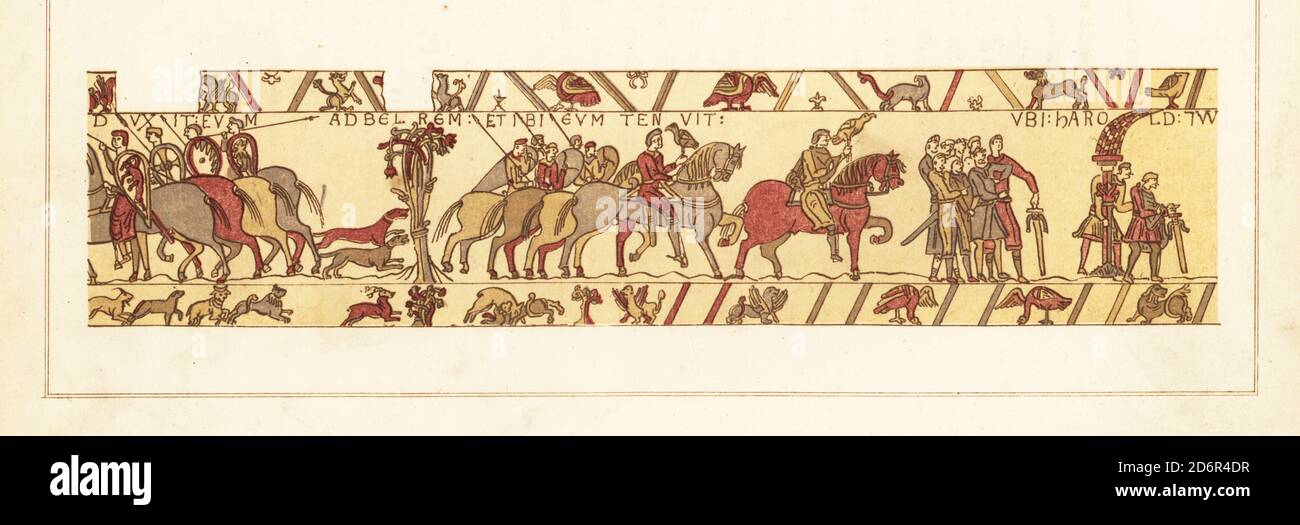 Count Guy I of Ponthieu leads the captured Harold Godwinson to Beaurain and holds him there. The count rides ahead with a falcon, followed by Harold without his chlamys. Chromolithograph by William Mossman after an illustration by Charles Stothard made for the Society of Antiquaries in Rev. John Collingwood Bruce’s The Bayeux Tapestry Elucidated, John Russell Smith, London, 1856. Stock Photo